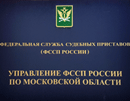 28 ноября 2016 года. Постановлением УФССП по Московской области отменено постановление начальника Домодедовского городского отдела судебных приставов Лазарева В.Г.